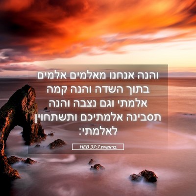 Picture 05 - בראשית 37:7 HEB - והנה אנחנו מאלמים אלמים - Bible Verse Picture