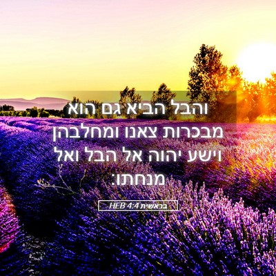 Picture 05 - בראשית 4:4 HEB - והבל הביא גם הוא מבכרות - Bible Verse Picture