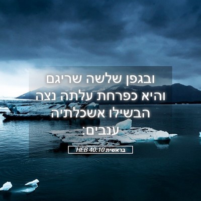 Picture 05 - בראשית 40:10 HEB - ובגפן שלשה שריגם והיא - Bible Verse Picture