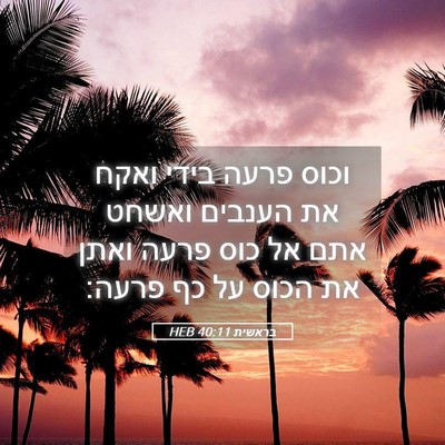 Picture 05 - בראשית 40:11 HEB - וכוס פרעה בידי ואקח את - Bible Verse Picture