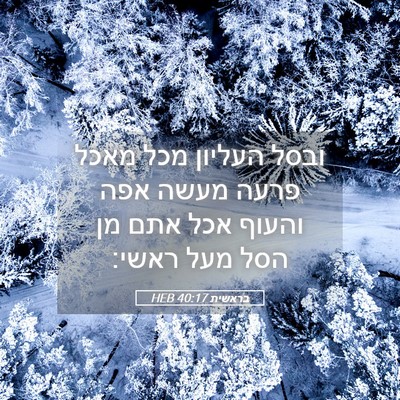 Picture 05 - בראשית 40:17 HEB - ובסל העליון מכל מאכל פרעה - Bible Verse Picture