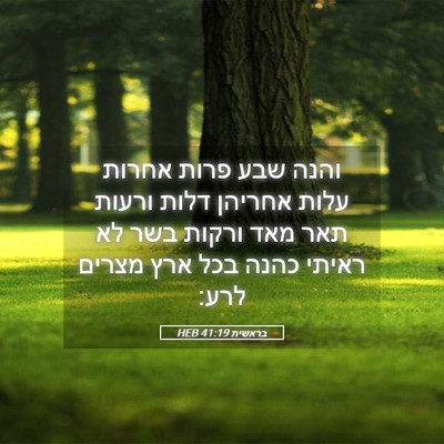 Picture 05 - בראשית 41:19 HEB - והנה שבע פרות אחרות עלות - Bible Verse Picture