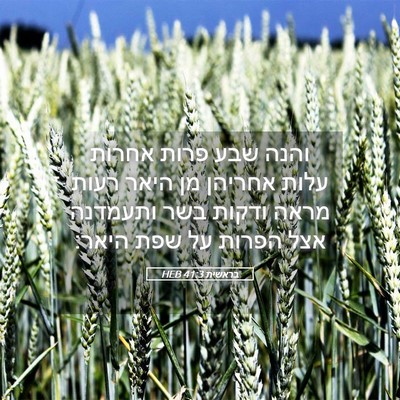 Picture 05 - בראשית 41:3 HEB - והנה שבע פרות אחרות עלות - Bible Verse Picture