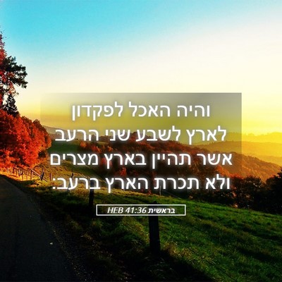 Picture 05 - בראשית 41:36 HEB - והיה האכל לפקדון לארץ לשבע - Bible Verse Picture