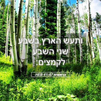 Picture 05 - בראשית 41:47 HEB - ותעש הארץ בשבע שני השבע - Bible Verse Picture
