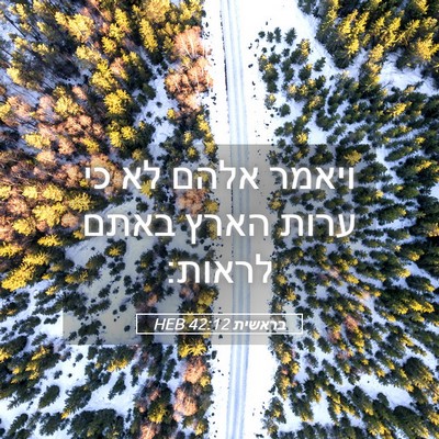 Picture 05 - בראשית 42:12 HEB - ויאמר אלהם לא כי ערות הארץ - Bible Verse Picture
