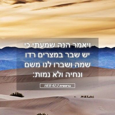 Picture 05 - בראשית 42:2 HEB - ויאמר הנה שמעתי כי יש שבר - Bible Verse Picture