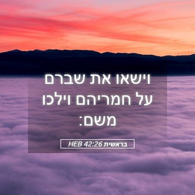 Picture 05 - בראשית 42:26 HEB - וישאו את שברם על חמריהם - Bible Verse Picture