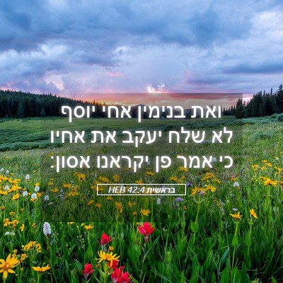 Picture 05 - בראשית 42:4 HEB - ואת בנימין אחי יוסף לא שלח - Bible Verse Picture