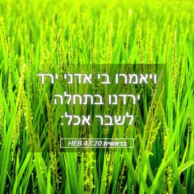 Picture 05 - בראשית 43:20 HEB - ויאמרו בי אדני ירד ירדנו - Bible Verse Picture