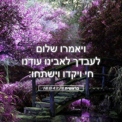 Picture 05 - בראשית 43:28 HEB - ויאמרו שלום לעבדך לאבינו - Bible Verse Picture