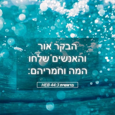 Picture 05 - בראשית 44:3 HEB - הבקר אור והאנשים שלחו המה - Bible Verse Picture