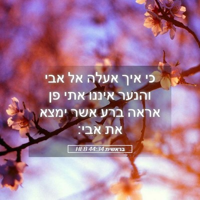 Picture 05 - בראשית 44:34 HEB - כי איך אעלה אל אבי והנער - Bible Verse Picture