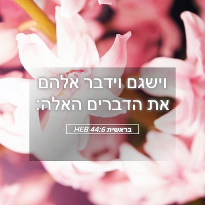 Picture 05 - בראשית 44:6 HEB - וישגם וידבר אלהם את הדברים - Bible Verse Picture