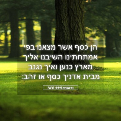 Picture 05 - בראשית 44:8 HEB - הן כסף אשר מצאנו בפי - Bible Verse Picture