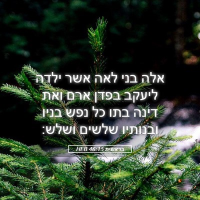 Picture 05 - בראשית 46:15 HEB - אלה בני לאה אשר ילדה ליעקב - Bible Verse Picture