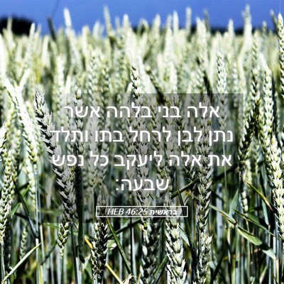 Picture 05 - בראשית 46:25 HEB - אלה בני בלהה אשר נתן לבן - Bible Verse Picture