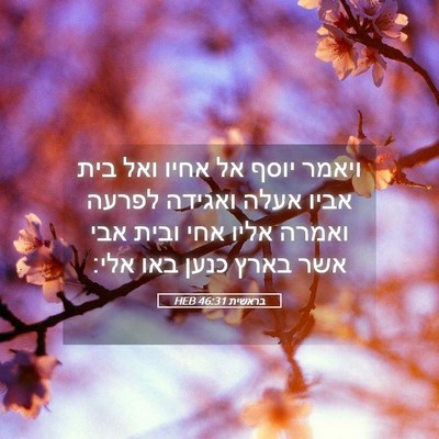 Picture 05 - בראשית 46:31 HEB - ויאמר יוסף אל אחיו ואל בית - Bible Verse Picture