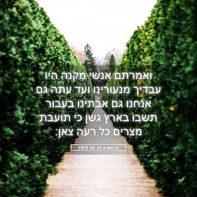 Picture 05 - בראשית 46:34 HEB - ואמרתם אנשי מקנה היו עבדיך - Bible Verse Picture
