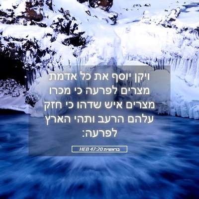 Picture 05 - בראשית 47:20 HEB - ויקן יוסף את כל אדמת מצרים - Bible Verse Picture