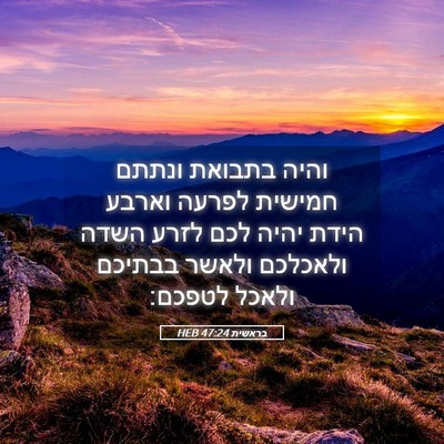 Picture 05 - בראשית 47:24 HEB - והיה בתבואת ונתתם חמישית - Bible Verse Picture