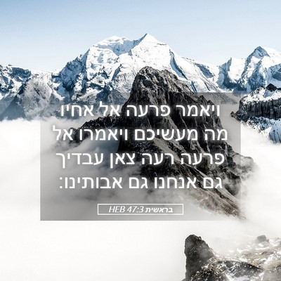Picture 05 - בראשית 47:3 HEB - ויאמר פרעה אל אחיו מה - Bible Verse Picture
