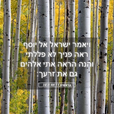 Picture 05 - בראשית 48:11 HEB - ויאמר ישראל אל יוסף ראה - Bible Verse Picture