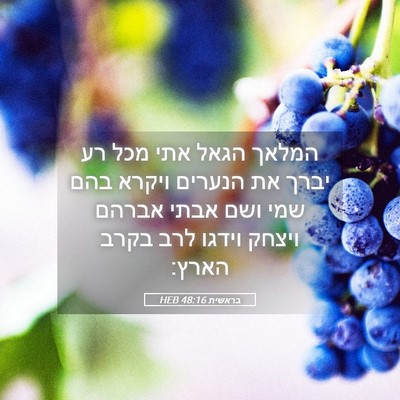 Picture 05 - בראשית 48:16 HEB - המלאך הגאל אתי מכל רע יברך - Bible Verse Picture