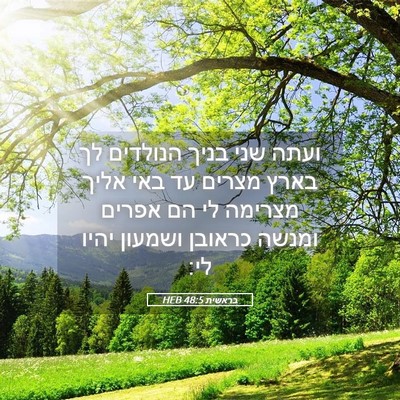 Picture 05 - בראשית 48:5 HEB - ועתה שני בניך הנולדים לך - Bible Verse Picture