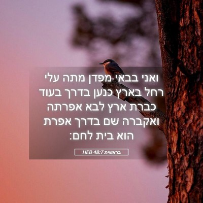 Picture 05 - בראשית 48:7 HEB - ואני בבאי מפדן מתה עלי רחל - Bible Verse Picture