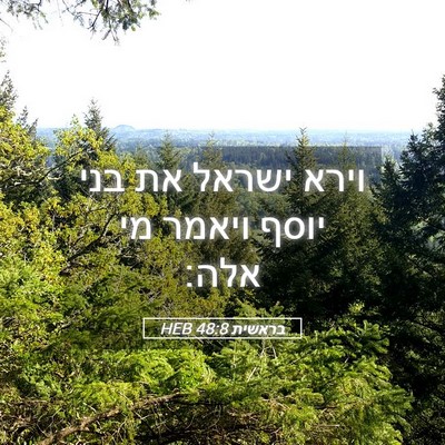 Picture 05 - בראשית 48:8 HEB - וירא ישראל את בני יוסף - Bible Verse Picture