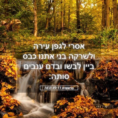 Picture 05 - בראשית 49:11 HEB - אסרי לגפן עירה ולשרקה בני - Bible Verse Picture