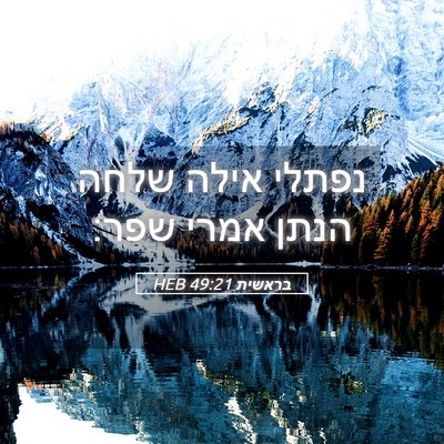 Picture 05 - בראשית 49:21 HEB - נפתלי אילה שלחה הנתן אמרי - Bible Verse Picture