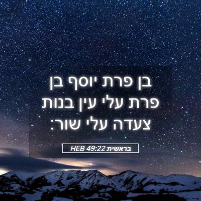 Picture 05 - בראשית 49:22 HEB - בן פרת יוסף בן פרת עלי עין - Bible Verse Picture