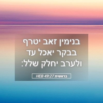 Picture 05 - בראשית 49:27 HEB - בנימין זאב יטרף בבקר יאכל - Bible Verse Picture