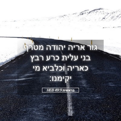 Picture 05 - בראשית 49:9 HEB - גור אריה יהודה מטרף בני - Bible Verse Picture