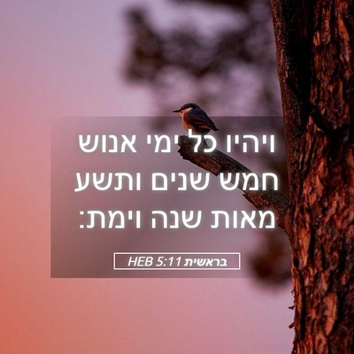 Picture 05 - בראשית 5:11 HEB - ויהיו כל ימי אנוש חמש שנים - Bible Verse Picture
