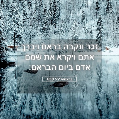 Picture 05 - בראשית 5:2 HEB - זכר ונקבה בראם ויברך אתם - Bible Verse Picture