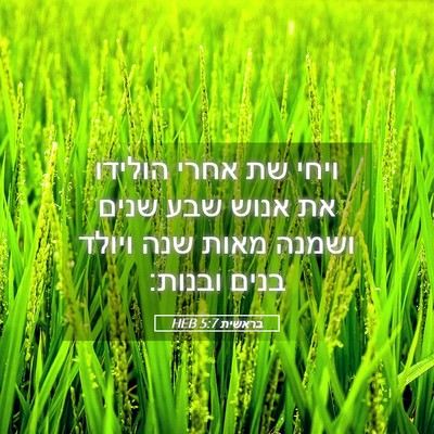 Picture 05 - בראשית 5:7 HEB - ויחי שת אחרי הולידו את אנוש - Bible Verse Picture