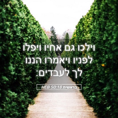 Picture 05 - בראשית 50:18 HEB - וילכו גם אחיו ויפלו לפניו - Bible Verse Picture