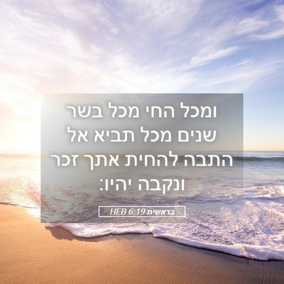 Picture 05 - בראשית 6:19 HEB - ומכל החי מכל בשר שנים מכל - Bible Verse Picture