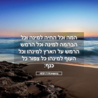 Picture 05 - בראשית 7:14 HEB - המה וכל החיה למינה וכל - Bible Verse Picture