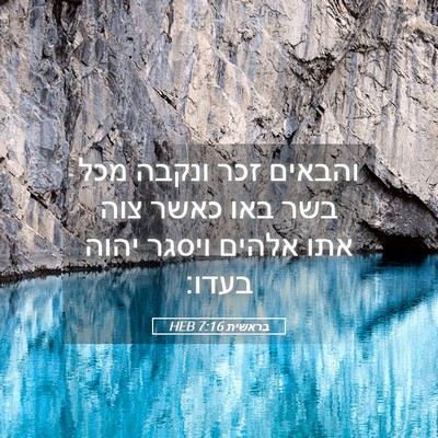 Picture 05 - בראשית 7:16 HEB - והבאים זכר ונקבה מכל בשר - Bible Verse Picture