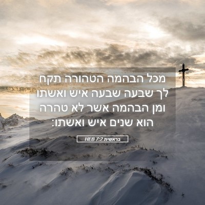 Picture 05 - בראשית 7:2 HEB - מכל הבהמה הטהורה תקח לך - Bible Verse Picture