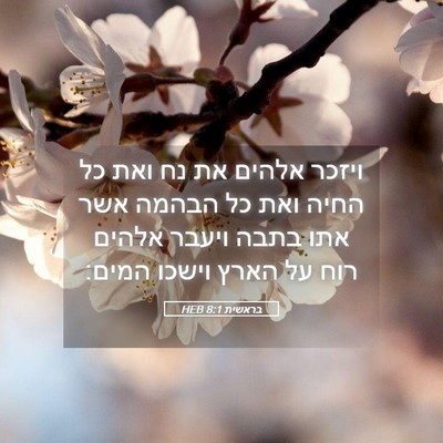Picture 05 - בראשית 8:1 HEB - ויזכר אלהים את נח ואת כל - Bible Verse Picture
