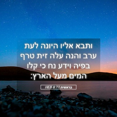 Picture 05 - בראשית 8:11 HEB - ותבא אליו היונה לעת ערב - Bible Verse Picture