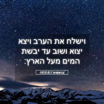Picture 05 - בראשית 8:7 HEB - וישלח את הערב ויצא יצוא - Bible Verse Picture