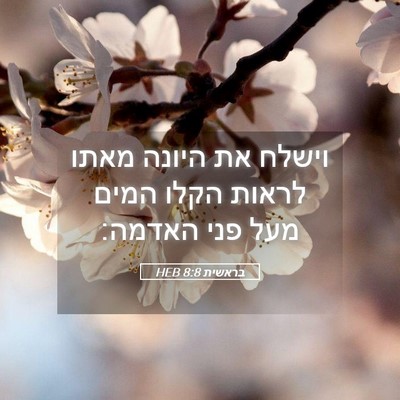 Picture 05 - בראשית 8:8 HEB - וישלח את היונה מאתו לראות - Bible Verse Picture