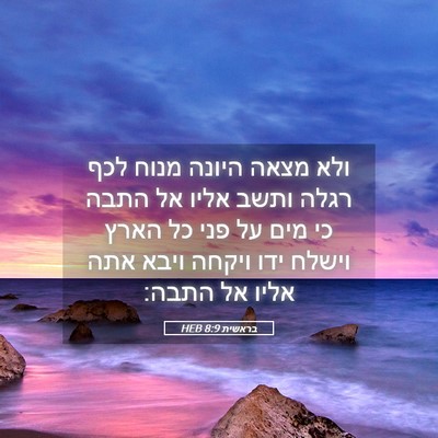 Picture 05 - בראשית 8:9 HEB - ולא מצאה היונה מנוח לכף - Bible Verse Picture