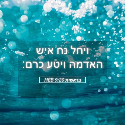 Picture 05 - בראשית 9:20 HEB - ויחל נח איש האדמה ויטע - Bible Verse Picture